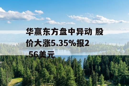 华赢东方盘中异动 股价大涨5.35%报2.56美元